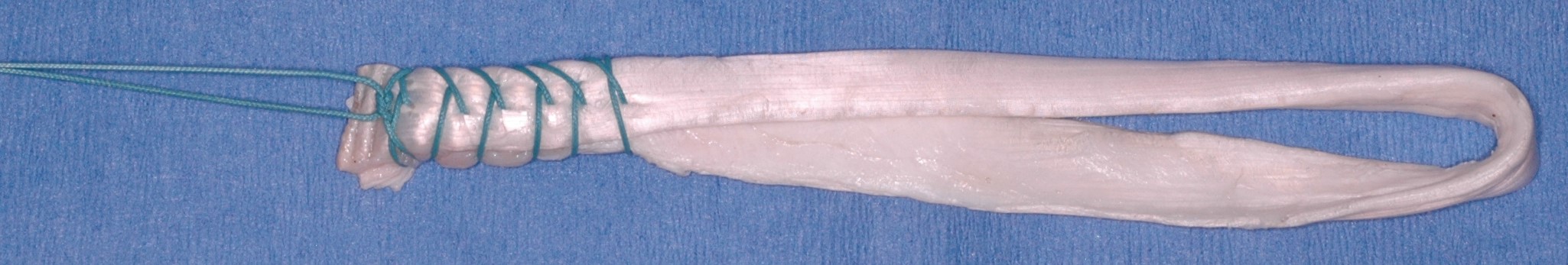 Whipstitched Bovine Tendon